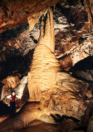 Mitchelstown Caves